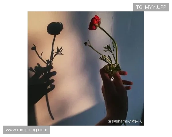 落花有主:那些错过与重逢的温柔,藏在时光的深处